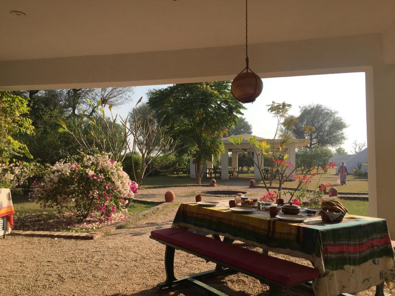 Savista Retreat Hotel ชัยปุระ ภายนอก รูปภาพ
